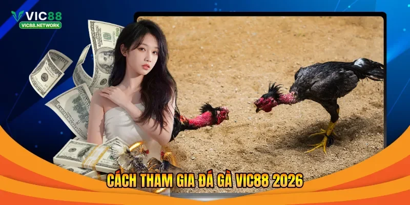 Cách tham gia đá gà Vic88 2026